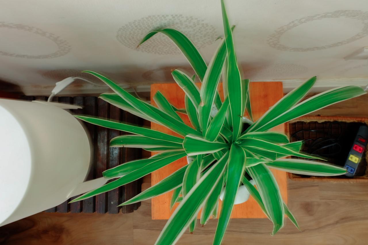 Magari Homestay Thành Pho Ho Chí Minh Esterno foto