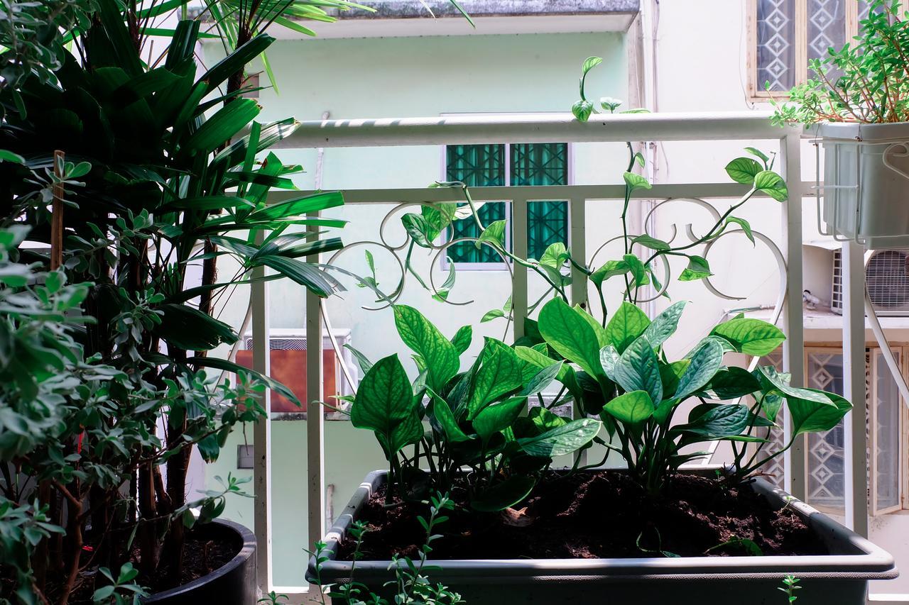 Magari Homestay Thành Pho Ho Chí Minh Esterno foto