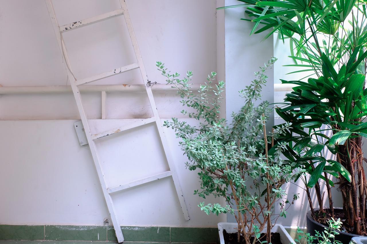 Magari Homestay Thành Pho Ho Chí Minh Esterno foto